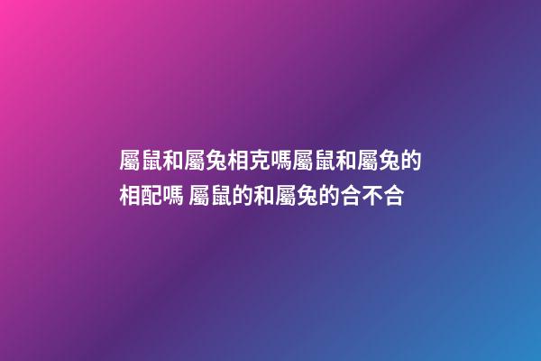 屬鼠和屬兔相克嗎屬鼠和屬兔的相配嗎 屬鼠的和屬兔的合不合-第1張-觀點-玄機派
